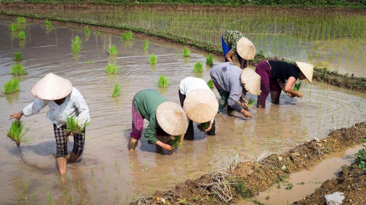 Nha Tan - Mai Chau Homestay And Tours Eksteriør bilde