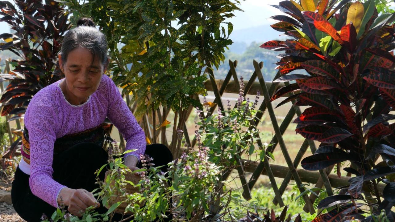 Nha Tan - Mai Chau Homestay And Tours Eksteriør bilde