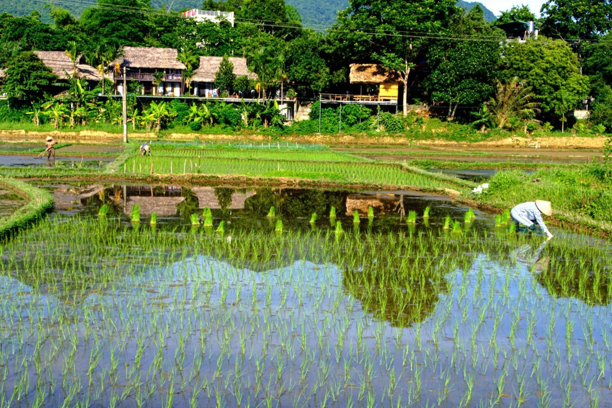 Nha Tan - Mai Chau Homestay And Tours Eksteriør bilde
