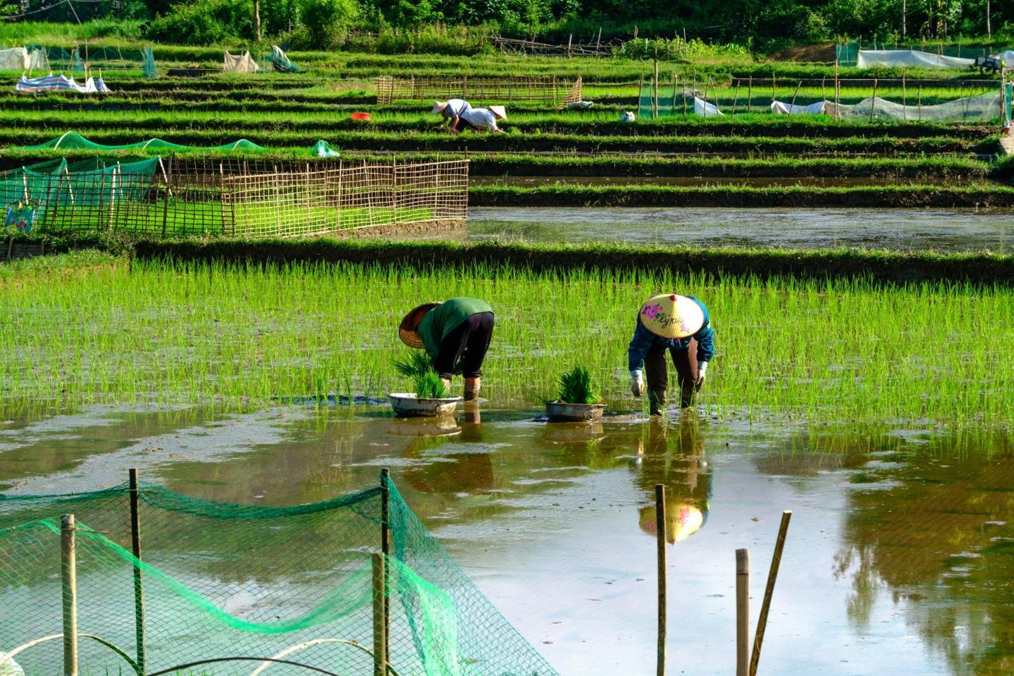 Nha Tan - Mai Chau Homestay And Tours Eksteriør bilde